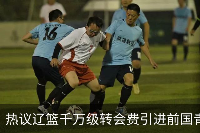 热议辽篮千万级转会费引进前国青队长：双向奔赴有望接班赵继伟